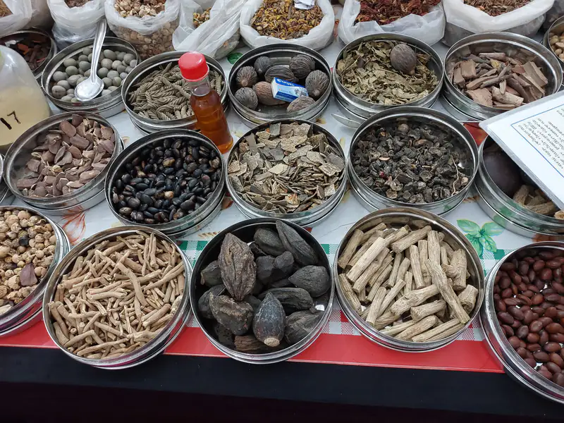 Dried Ayurvedic herbs and roots in steel bowls