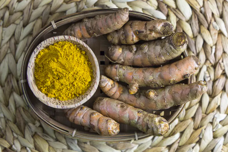 Fresh turmeric roots beside a bowl of turmeric powder